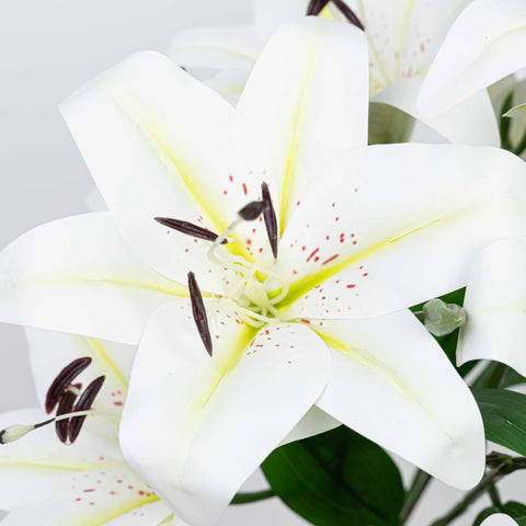 22" LILY BUSH WITH 9 HEADS