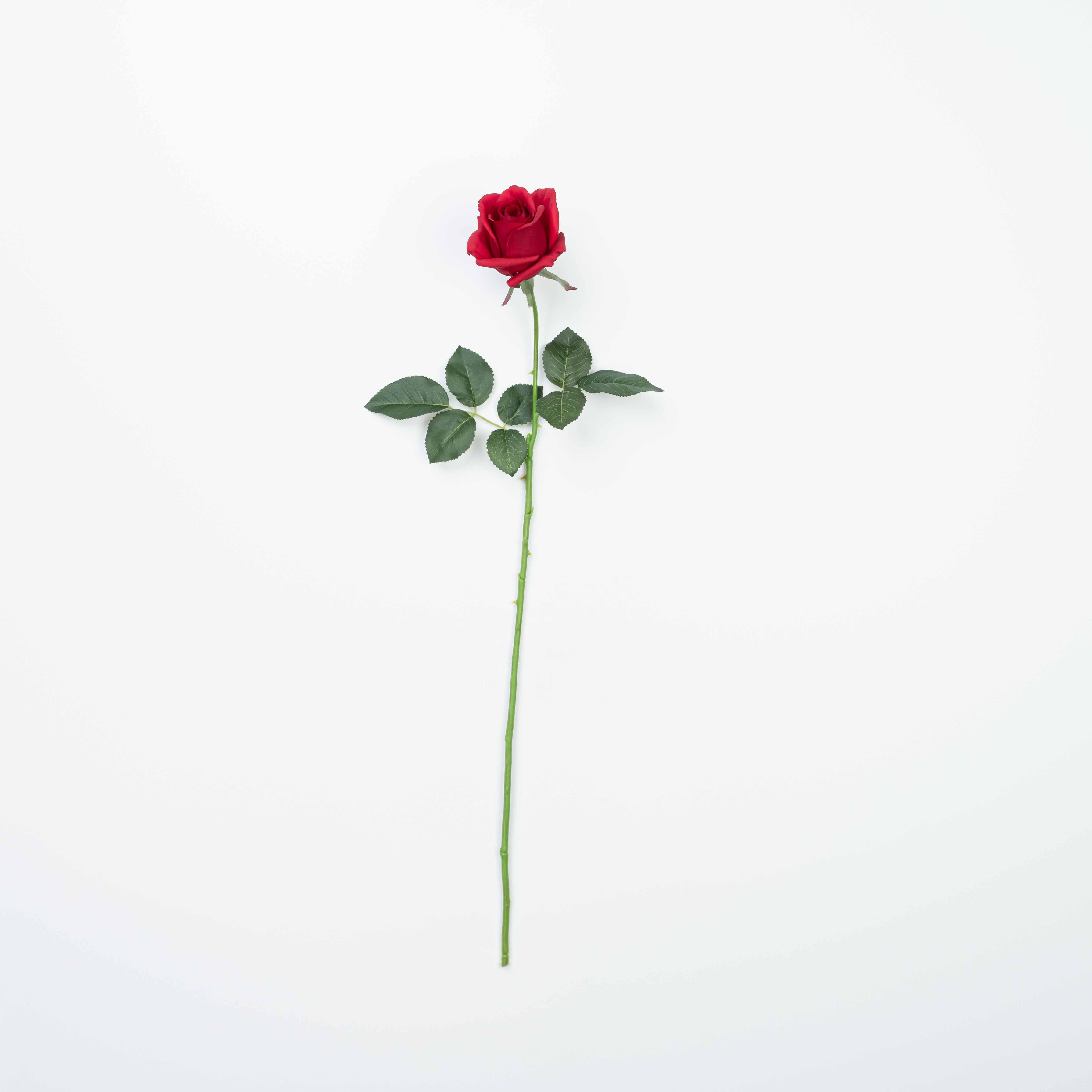 25" REAL TOUCH ROSE STEM HEAD 8CM