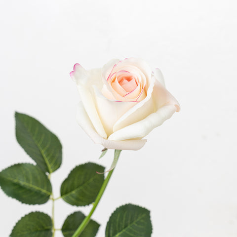 25" REAL TOUCH ROSE STEM HEAD 8CM