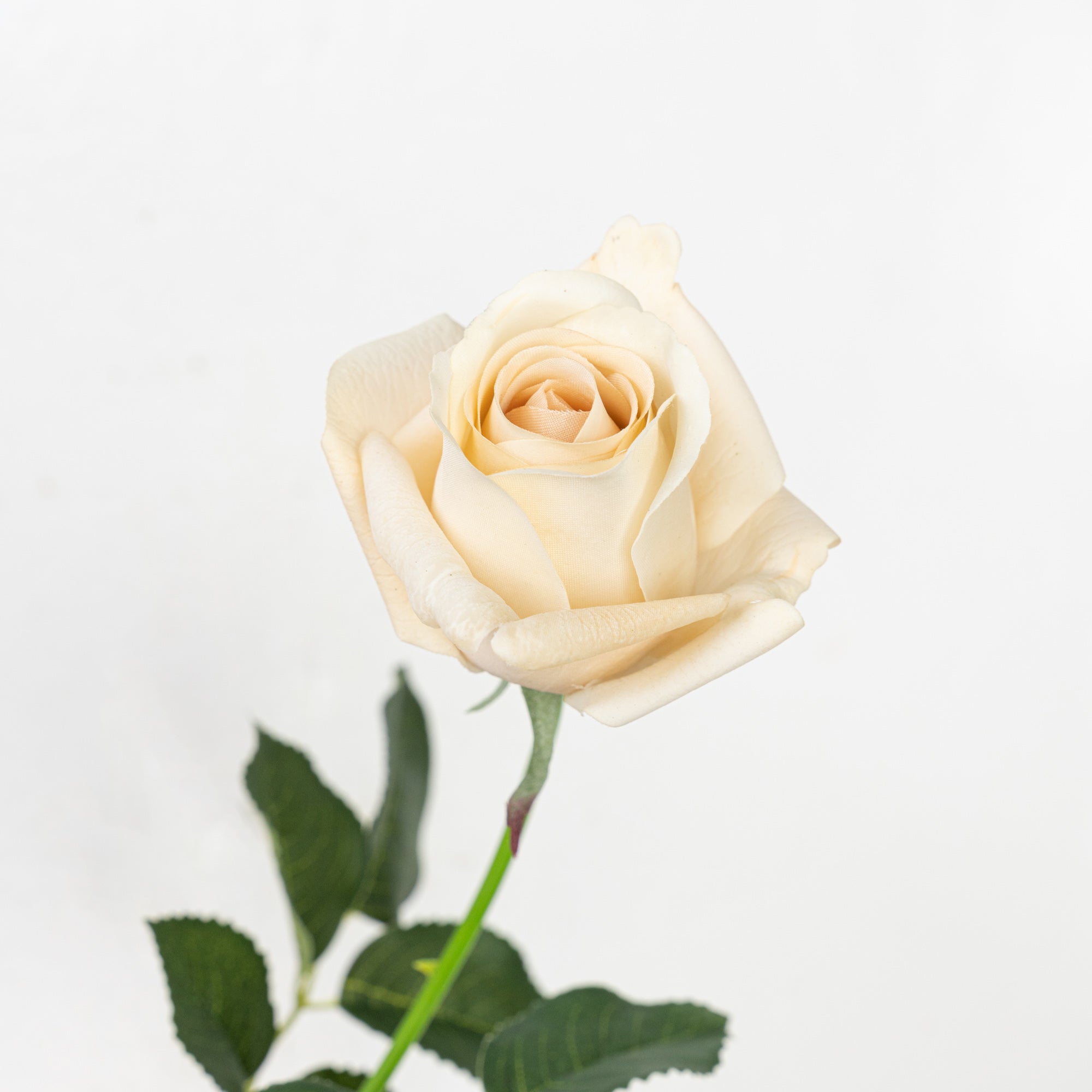 25" REAL TOUCH ROSE STEM HEAD 8CM
