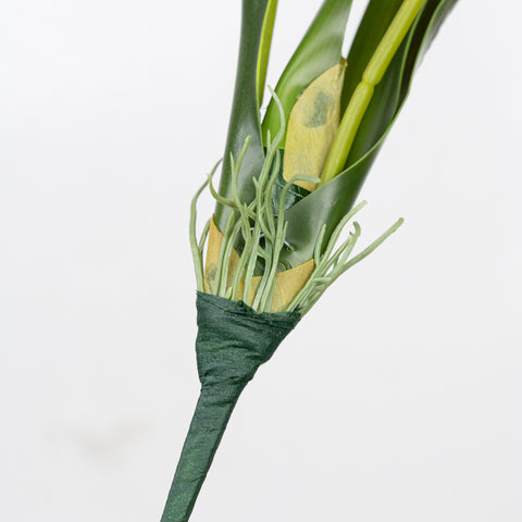 17.5" VANDA ORCHID BUSH