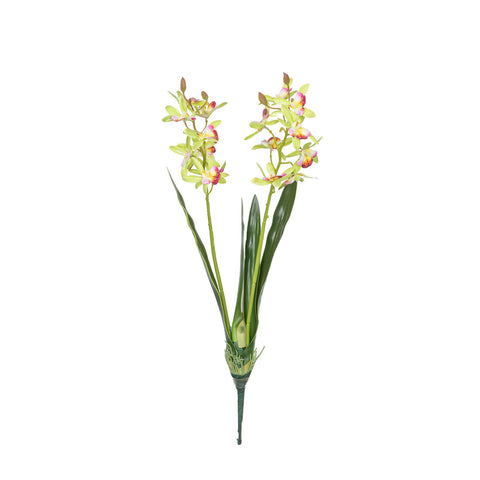 17.5" VANDA ORCHID BUSH