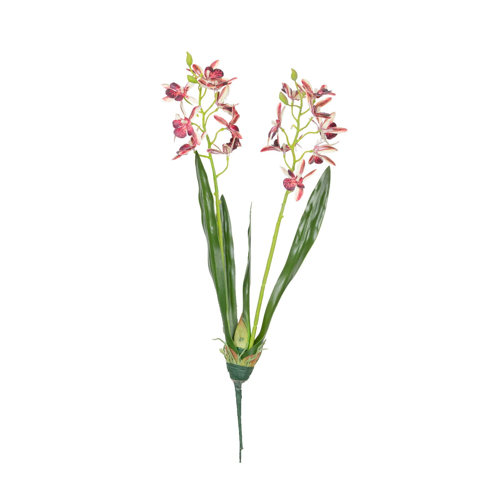 17.5" VANDA ORCHID BUSH