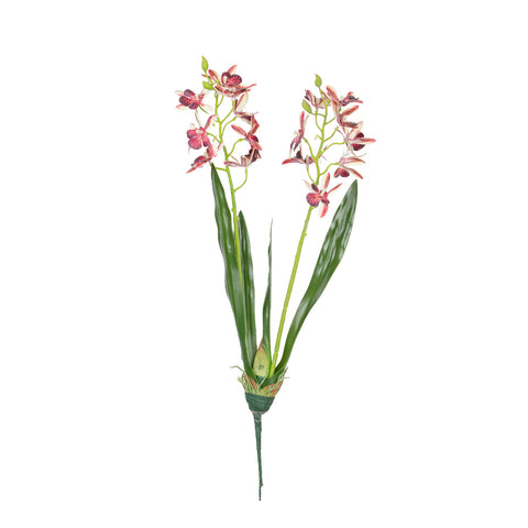 17.5" VANDA ORCHID BUSH