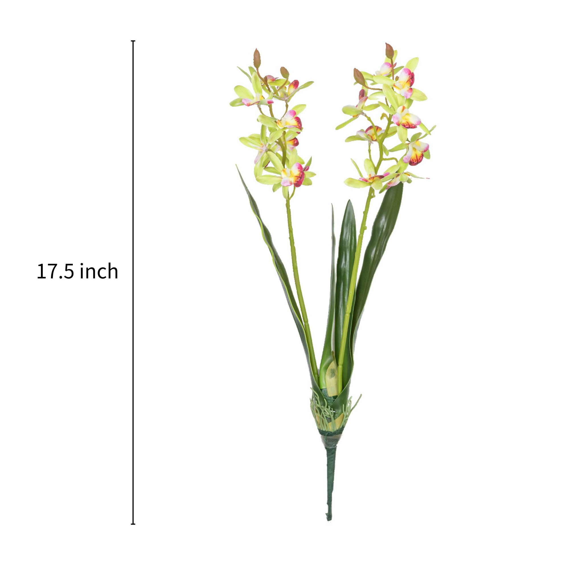 17.5" VANDA ORCHID BUSH