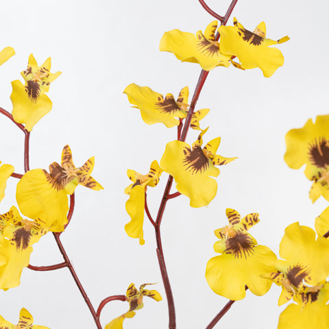 30" DANCING ORCHID SPRAY