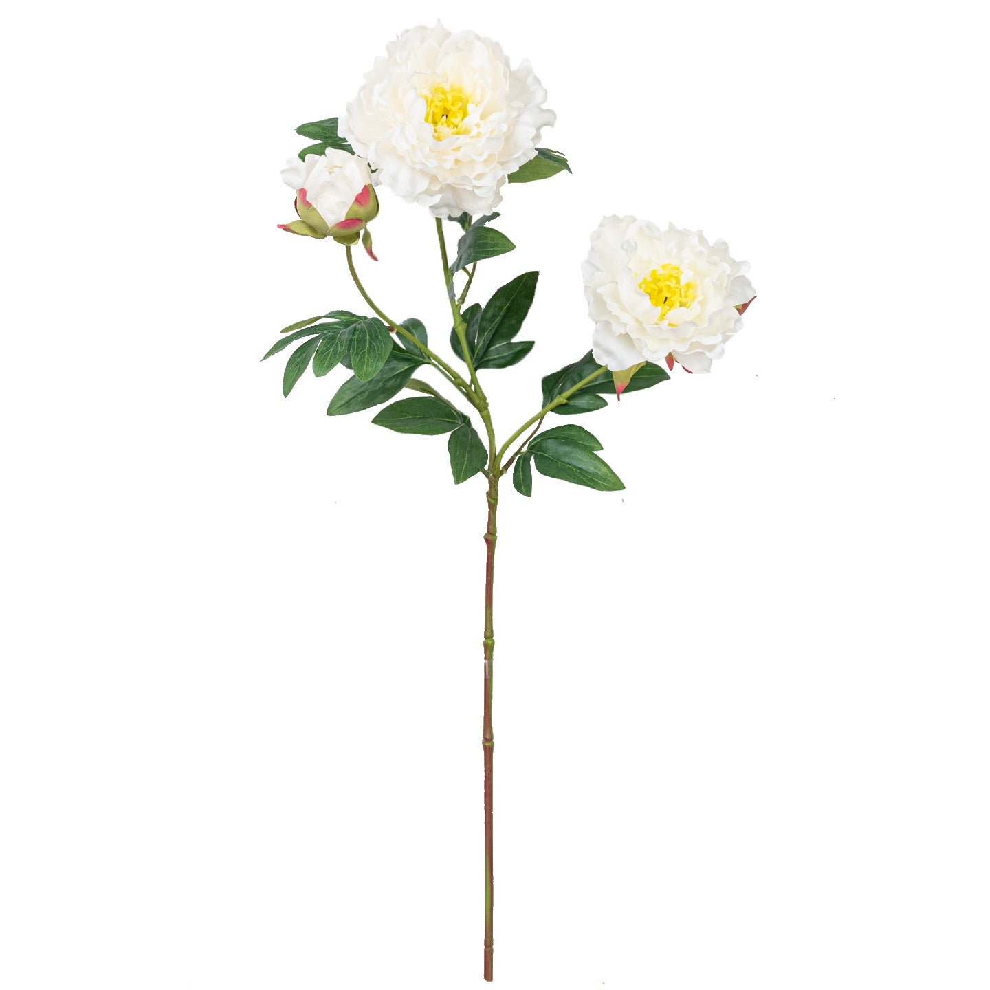 25" PEONY SPRAY