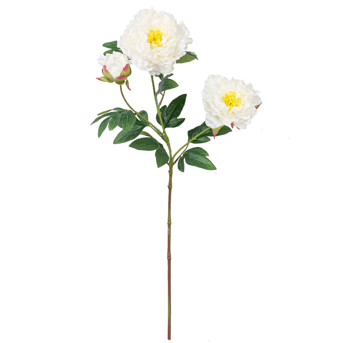 25" PEONY SPRAY