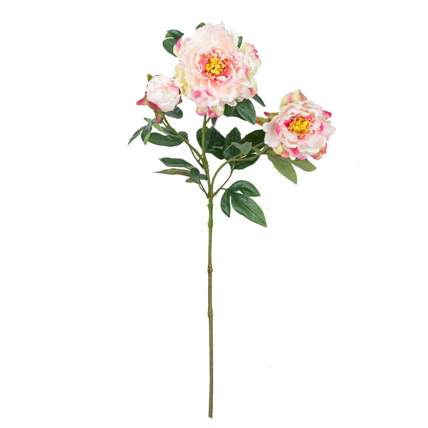 25" PEONY SPRAY