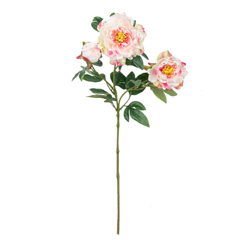 25" PEONY SPRAY