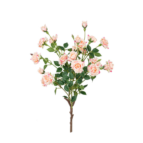17" ROSE BUSH