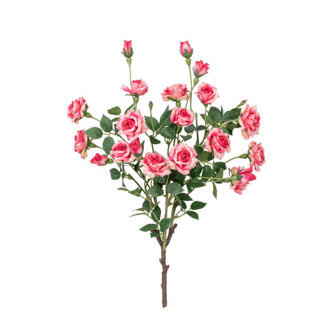 17" ROSE BUSH