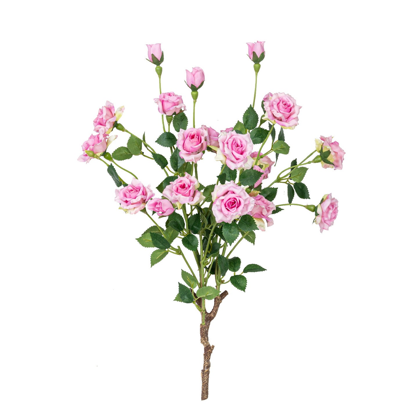 17" ROSE BUSH