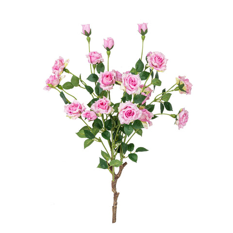 17" ROSE BUSH