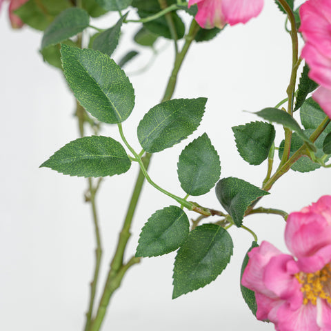 40.5" WILD ROSE SPRAY