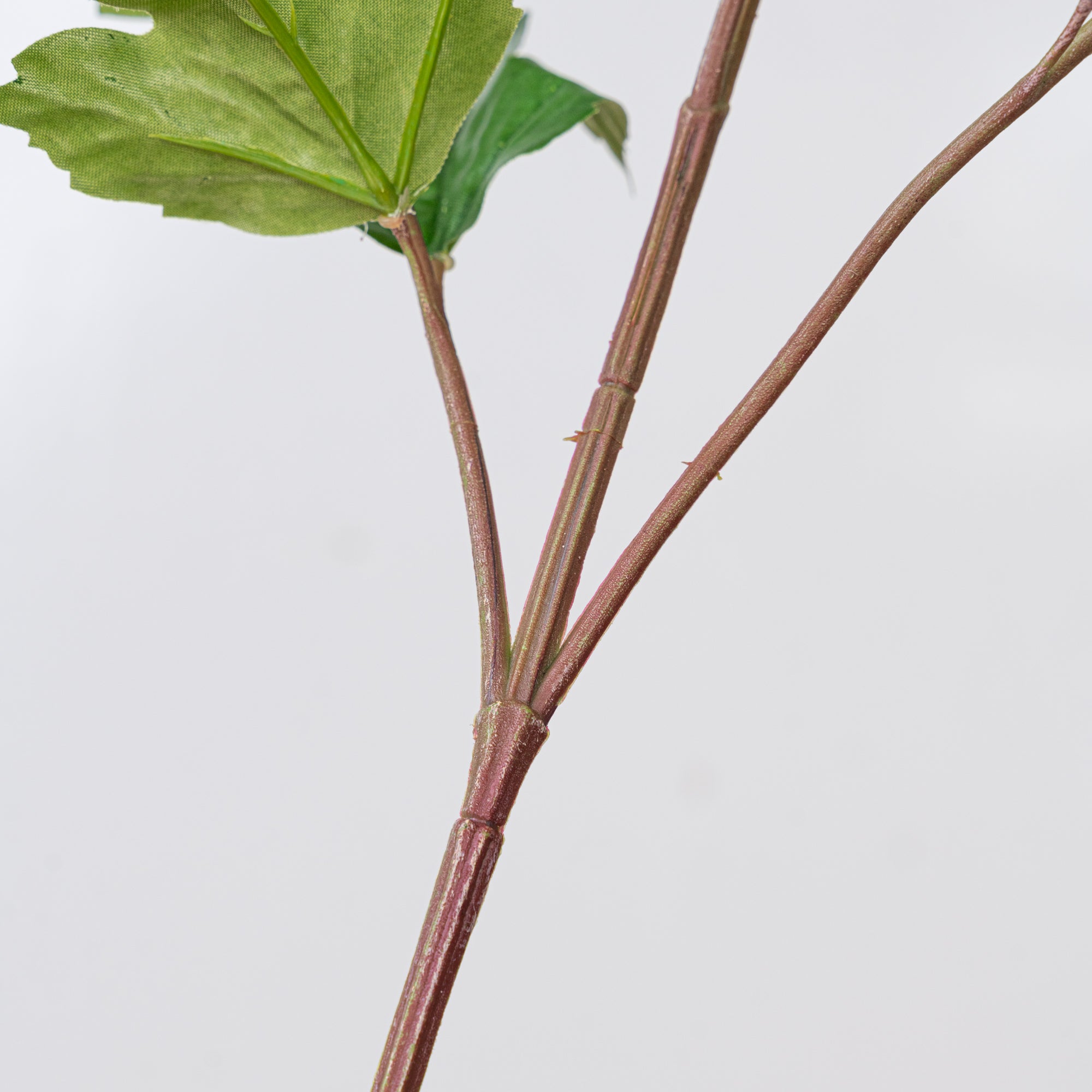 34" VIBURNUM BRANCH