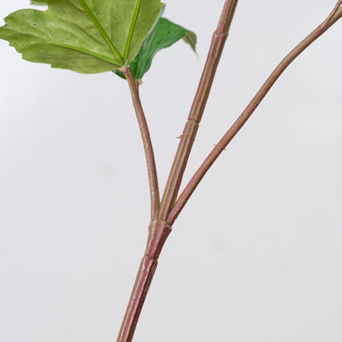 34" VIBURNUM BRANCH