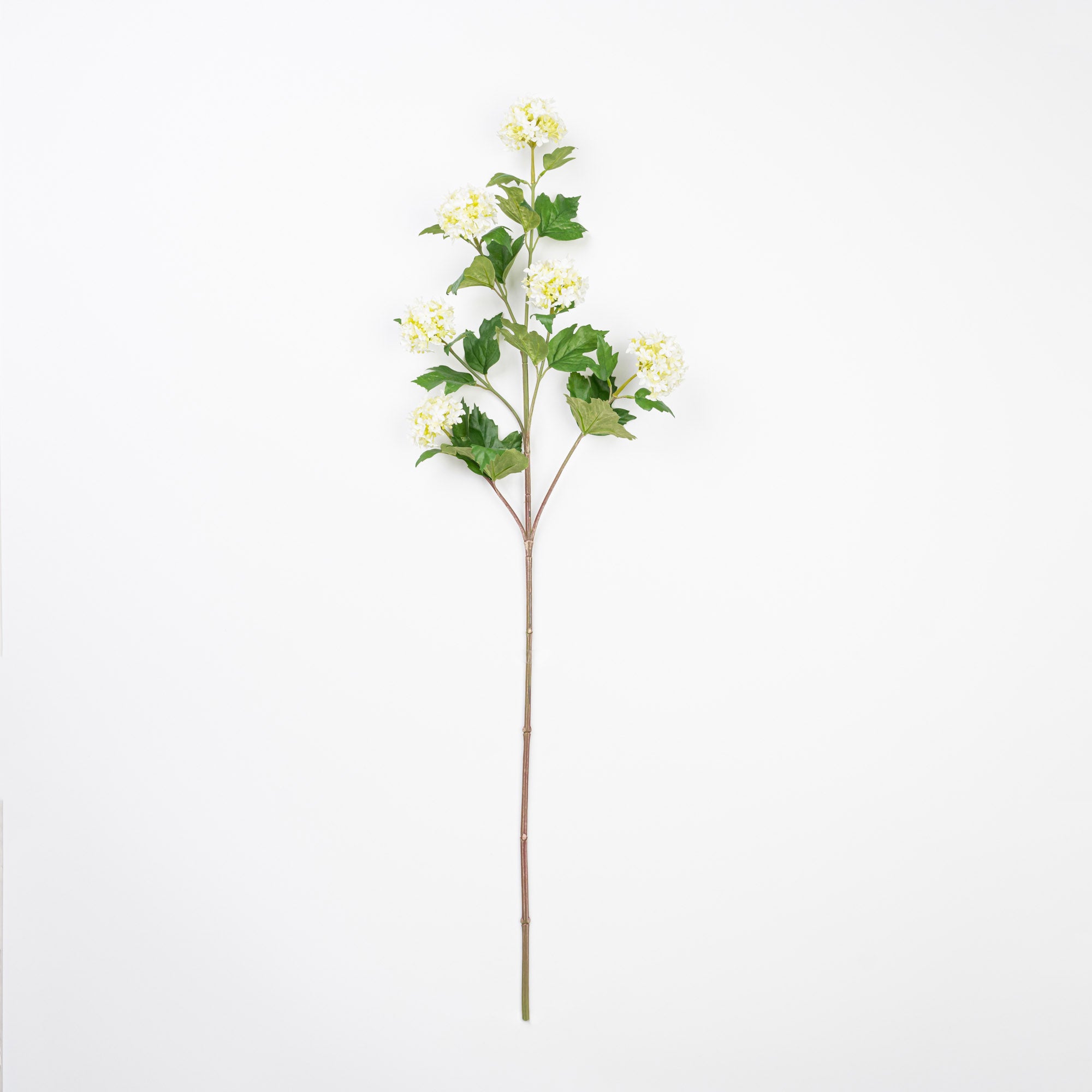 34" VIBURNUM BRANCH