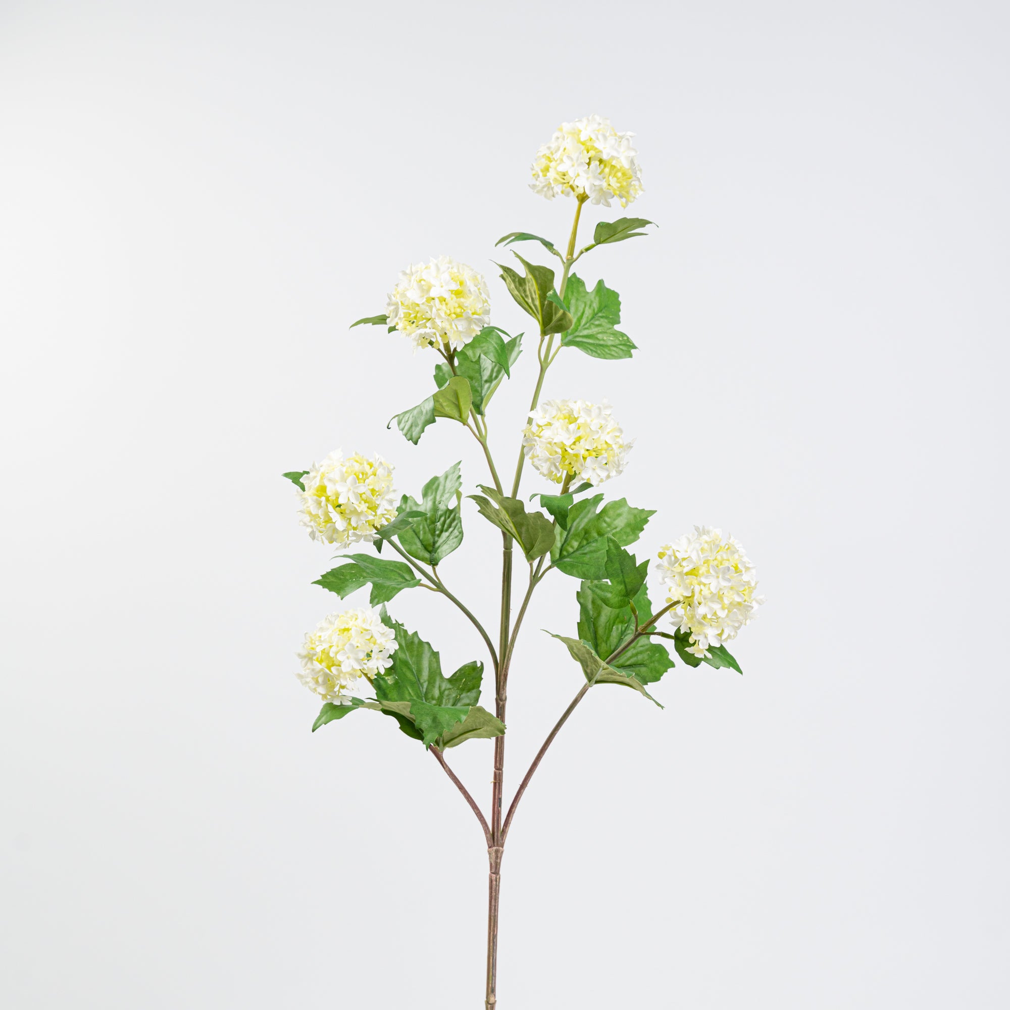 34" VIBURNUM BRANCH