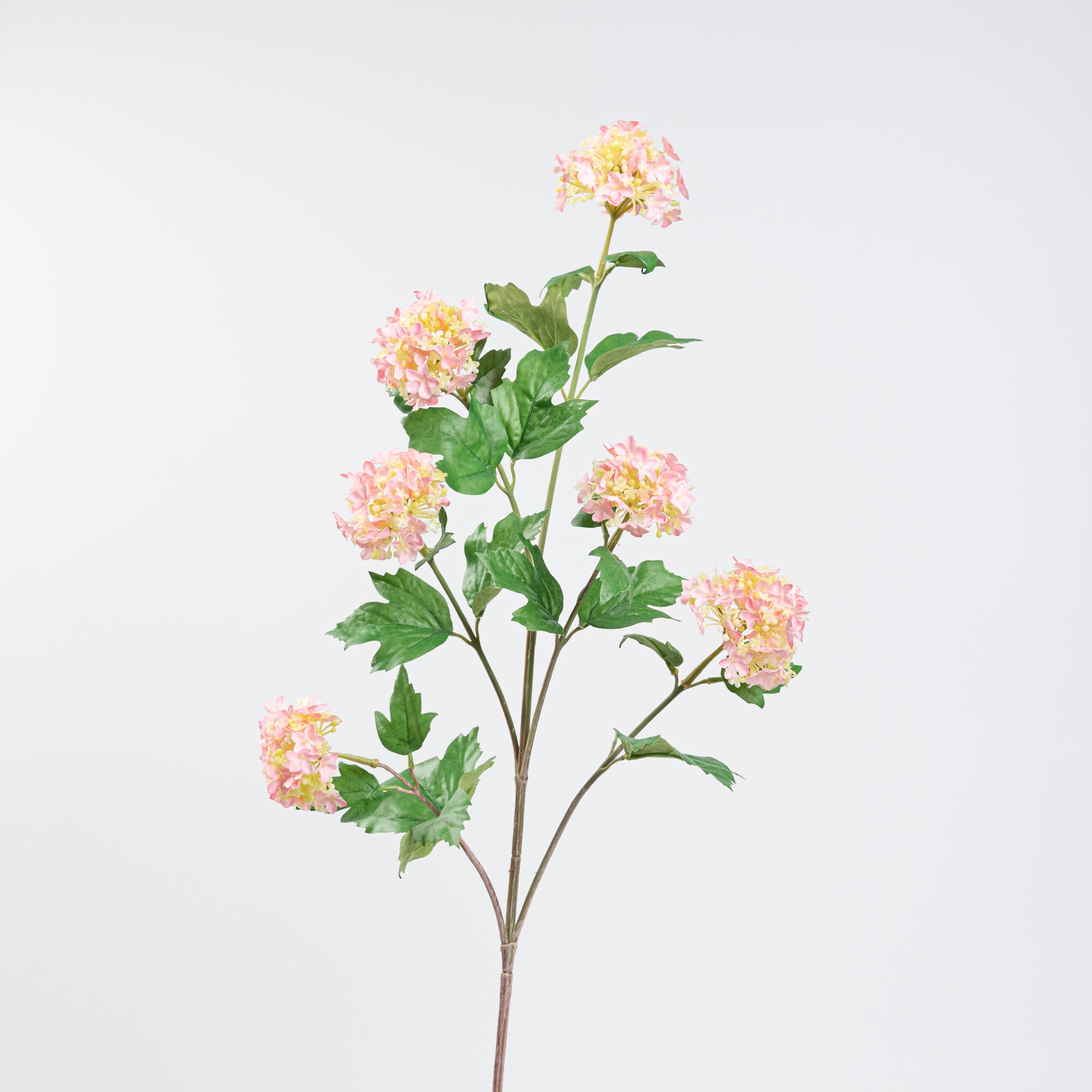 34" VIBURNUM BRANCH