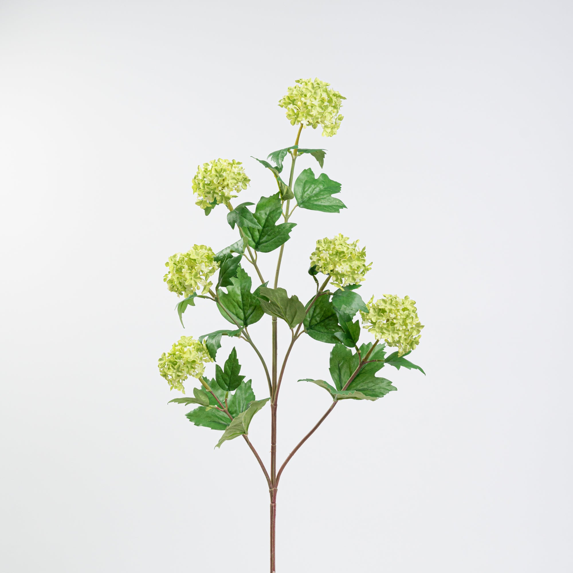 34" VIBURNUM BRANCH