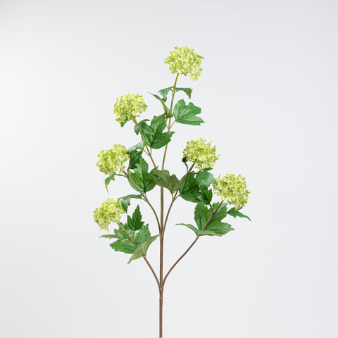 34" VIBURNUM BRANCH
