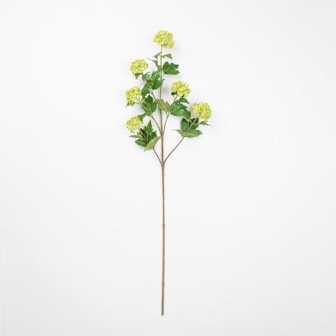 34" VIBURNUM BRANCH