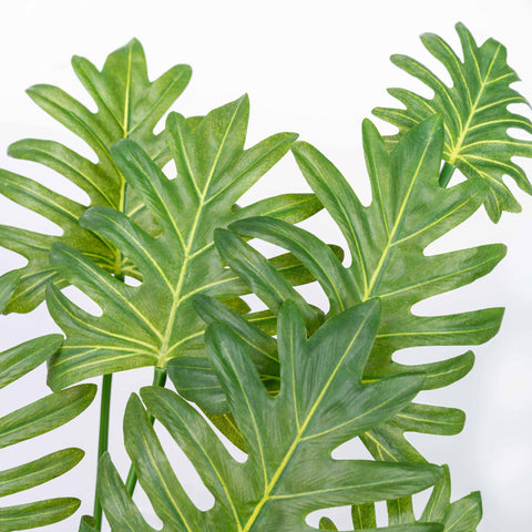 26" ARROWROOT LEAF BUSH X 7