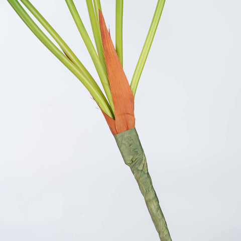 26" ARROWROOT LEAF BUSH X 7