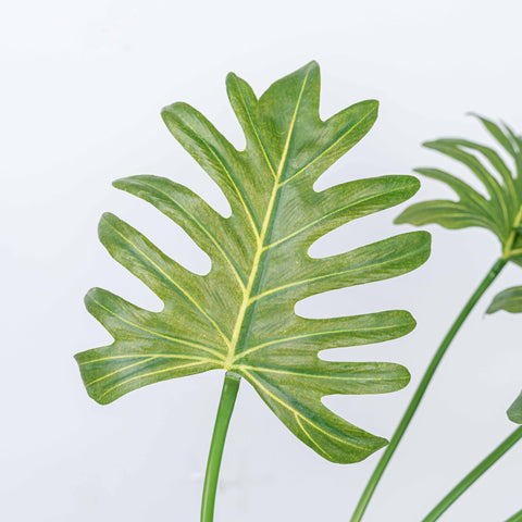 26" ARROWROOT LEAF BUSH X 7