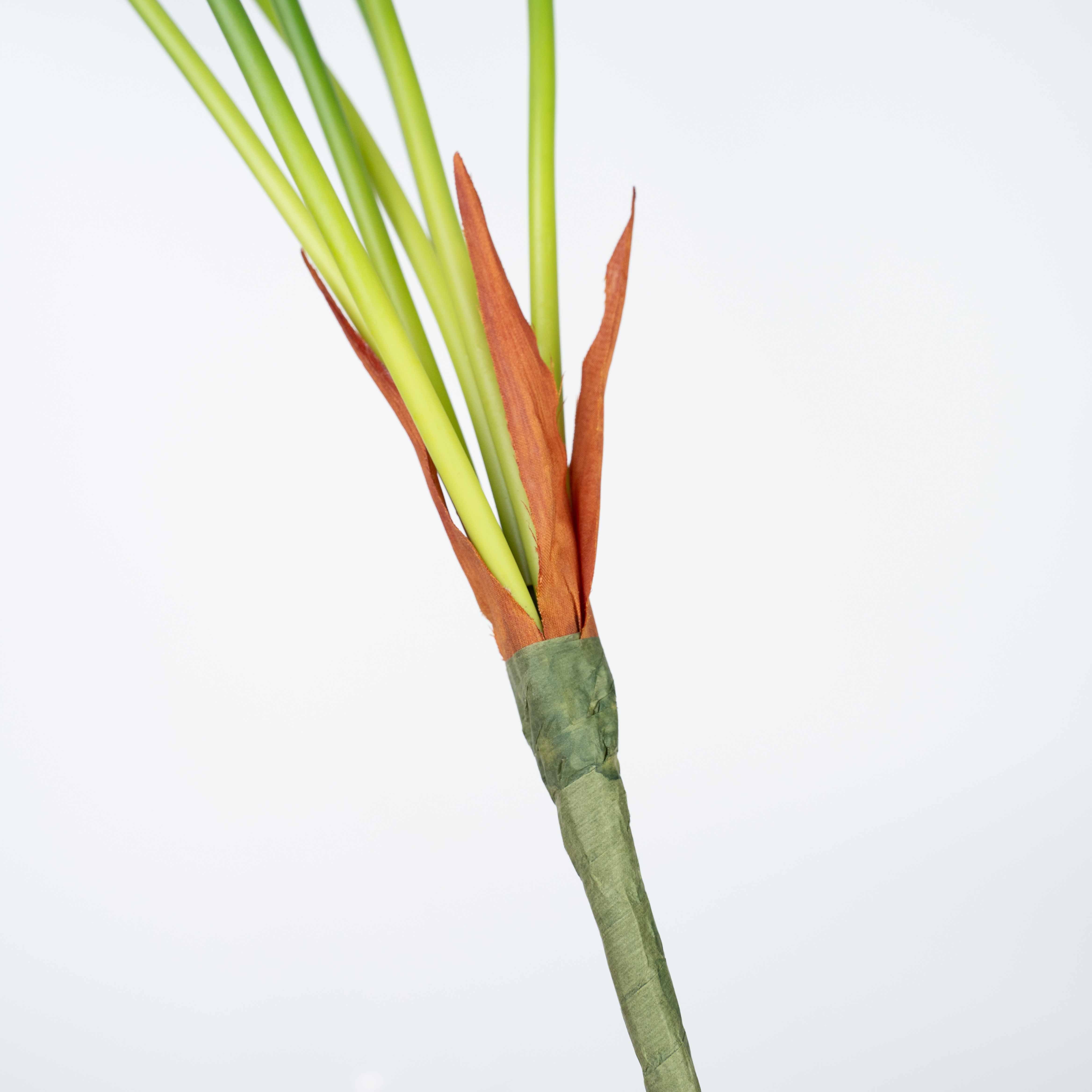 36" BIRD NEST FERN LEAF X 7