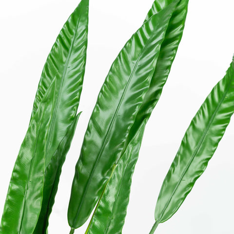 36" BIRD NEST FERN LEAF X 7