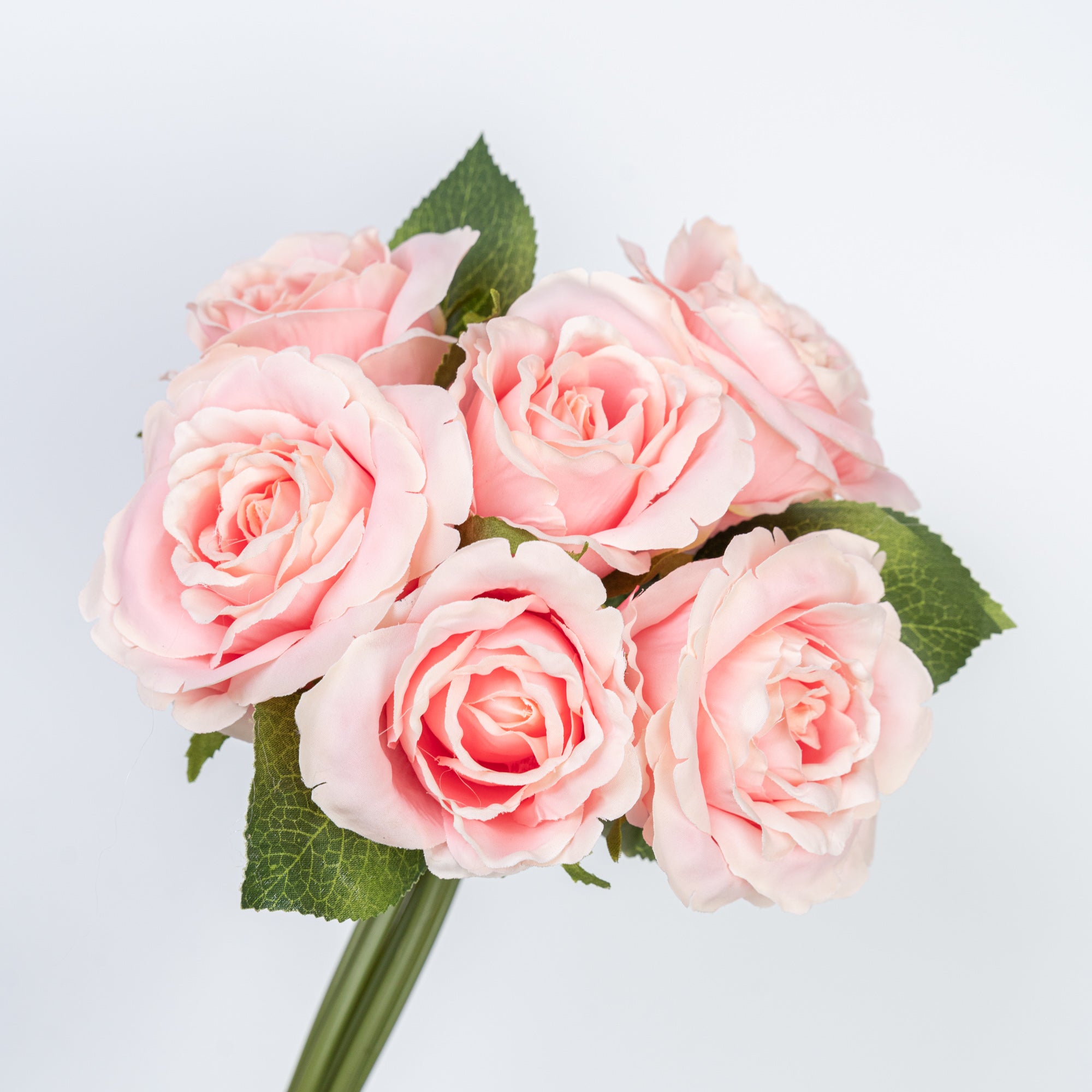 11" ROSE BUNDLE X 6