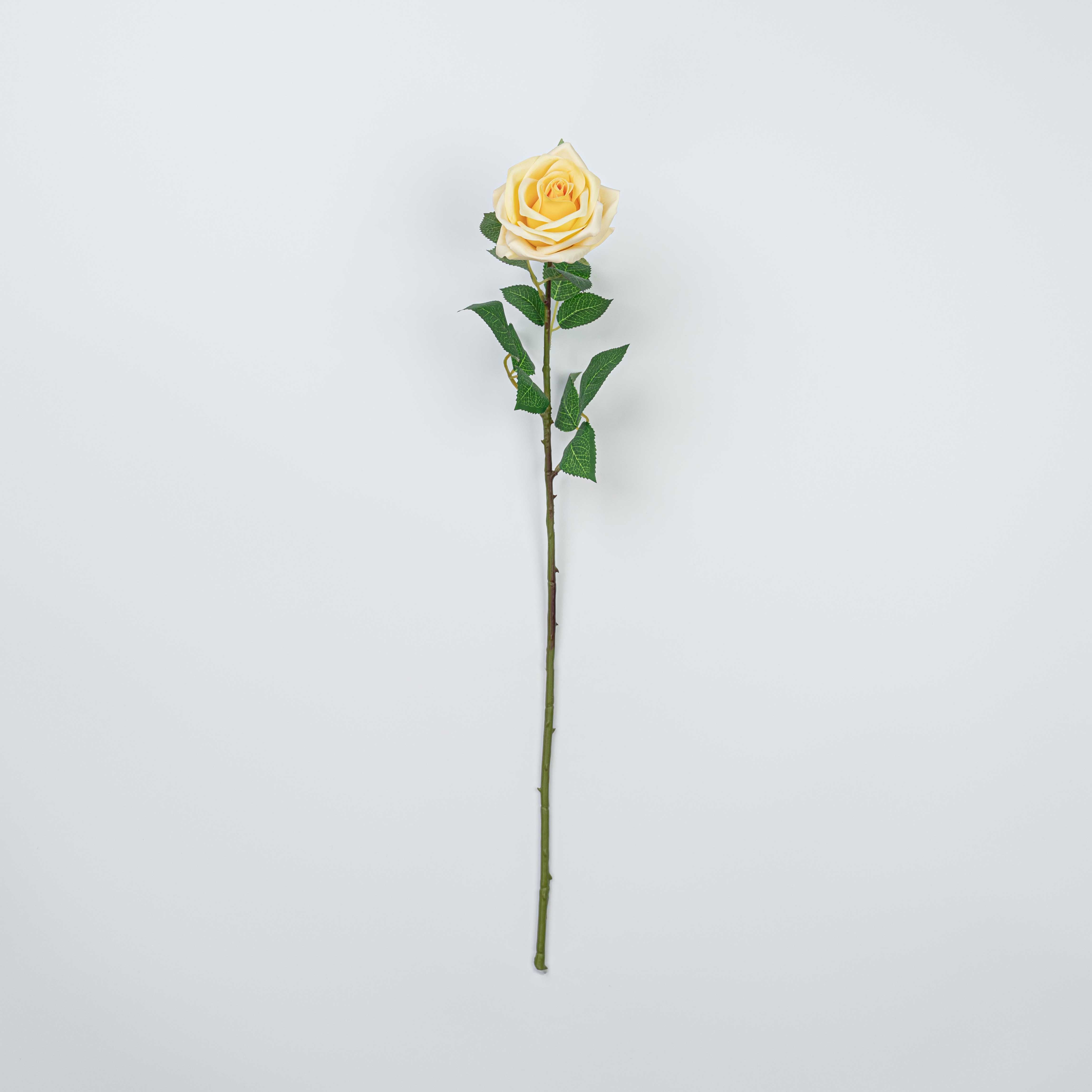 25" REAL TOUCH ROSE STEM