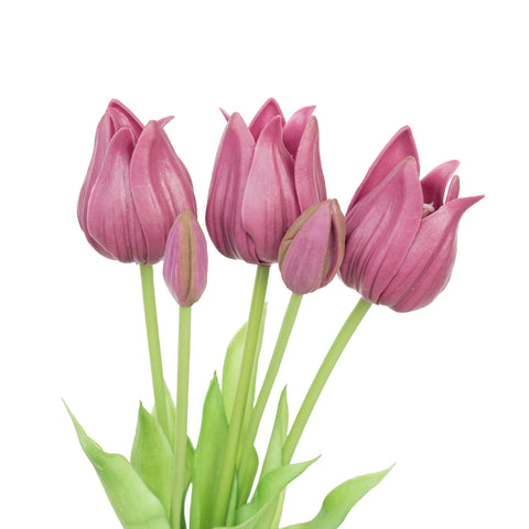 17.5" SOFT TOUCH TULIP BUNDLE X 5