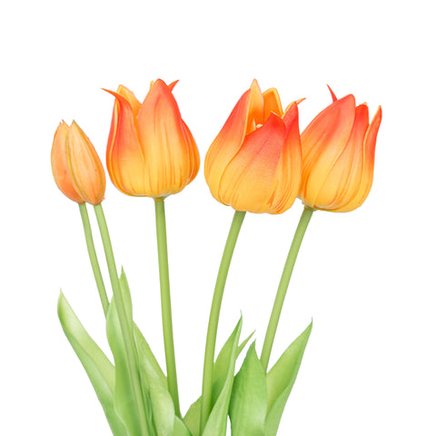 17.5" SOFT TOUCH TULIP BUNDLE X 5