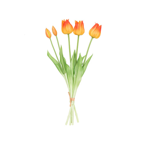 17.5" SOFT TOUCH TULIP BUNDLE X 5