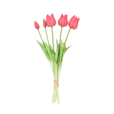 17.5" SOFT TOUCH TULIP BUNDLE X 5