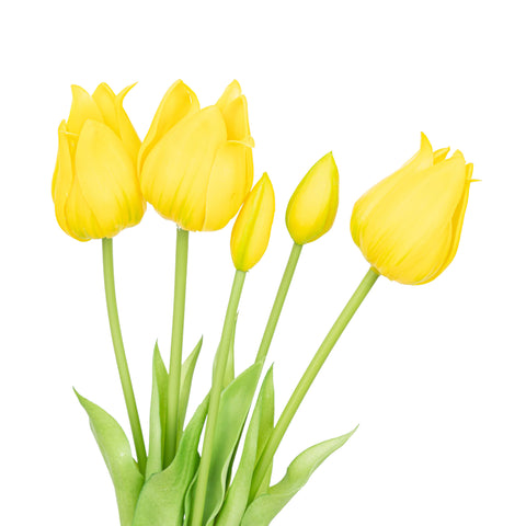 17.5" SOFT TOUCH TULIP BUNDLE X 5