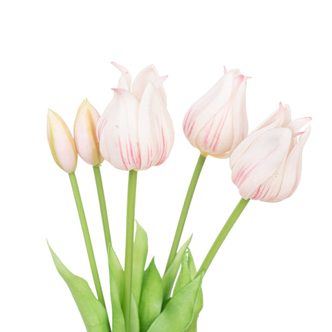 17.5" SOFT TOUCH TULIP BUNDLE X 5