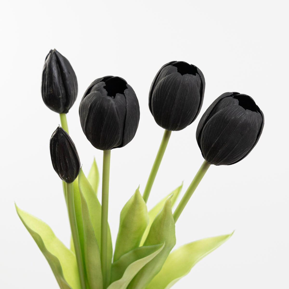 15" SOFT TOUCH TULIP BUNDLE X 5