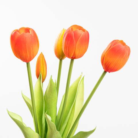 15" SOFT TOUCH TULIP BUNDLE X 5