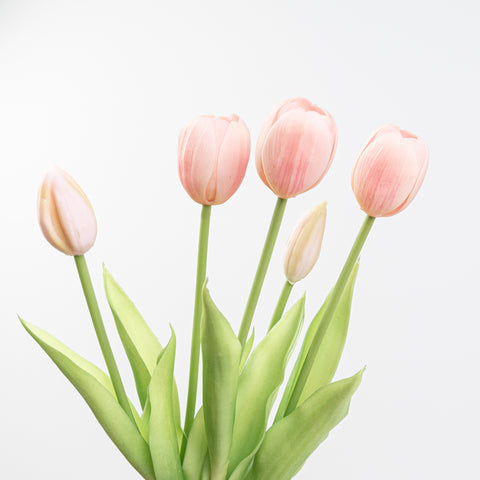 15" SOFT TOUCH TULIP BUNDLE X 5