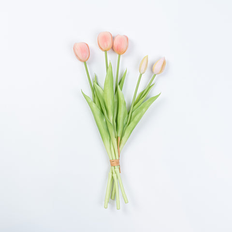 15" SOFT TOUCH TULIP BUNDLE X 5