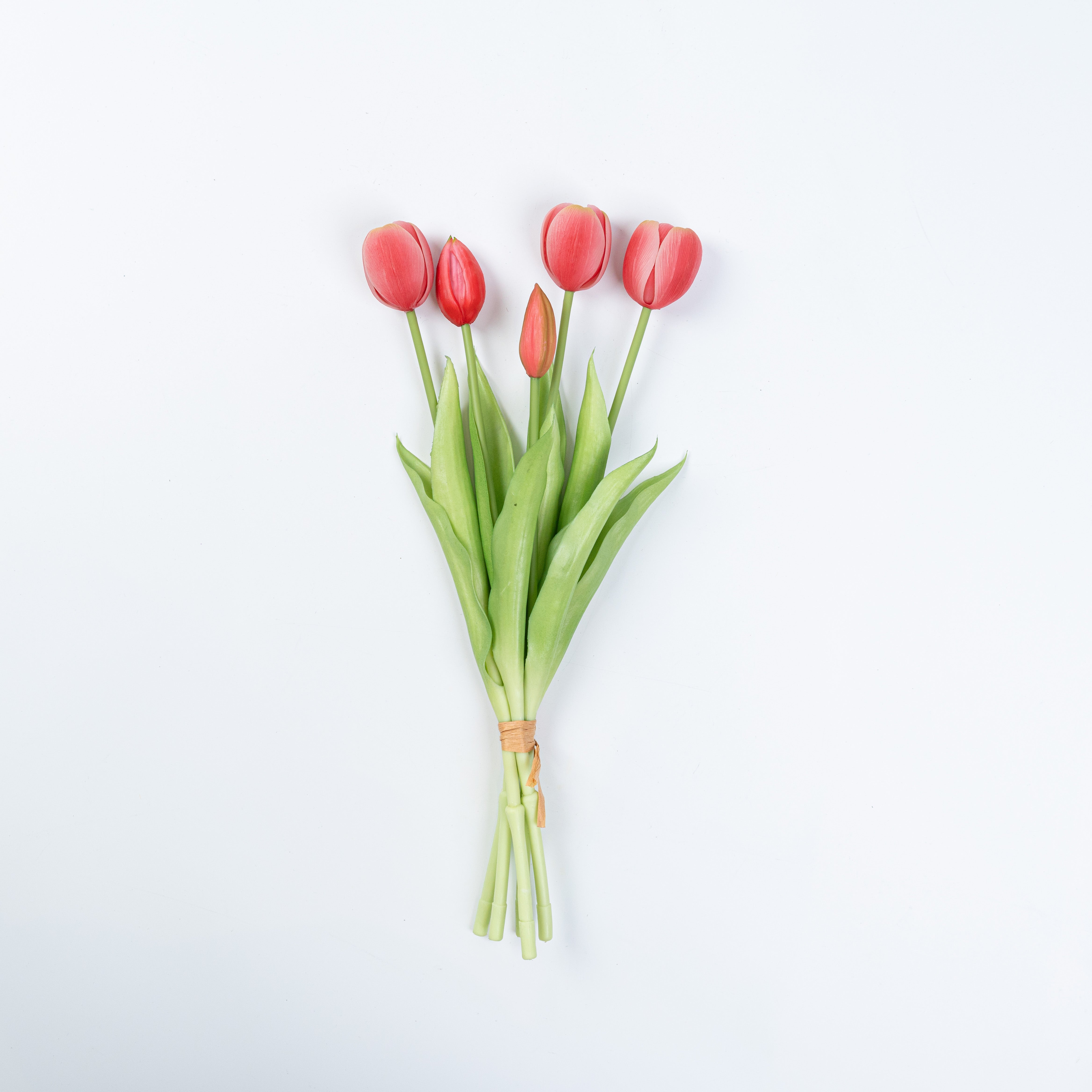 15" SOFT TOUCH TULIP BUNDLE X 5