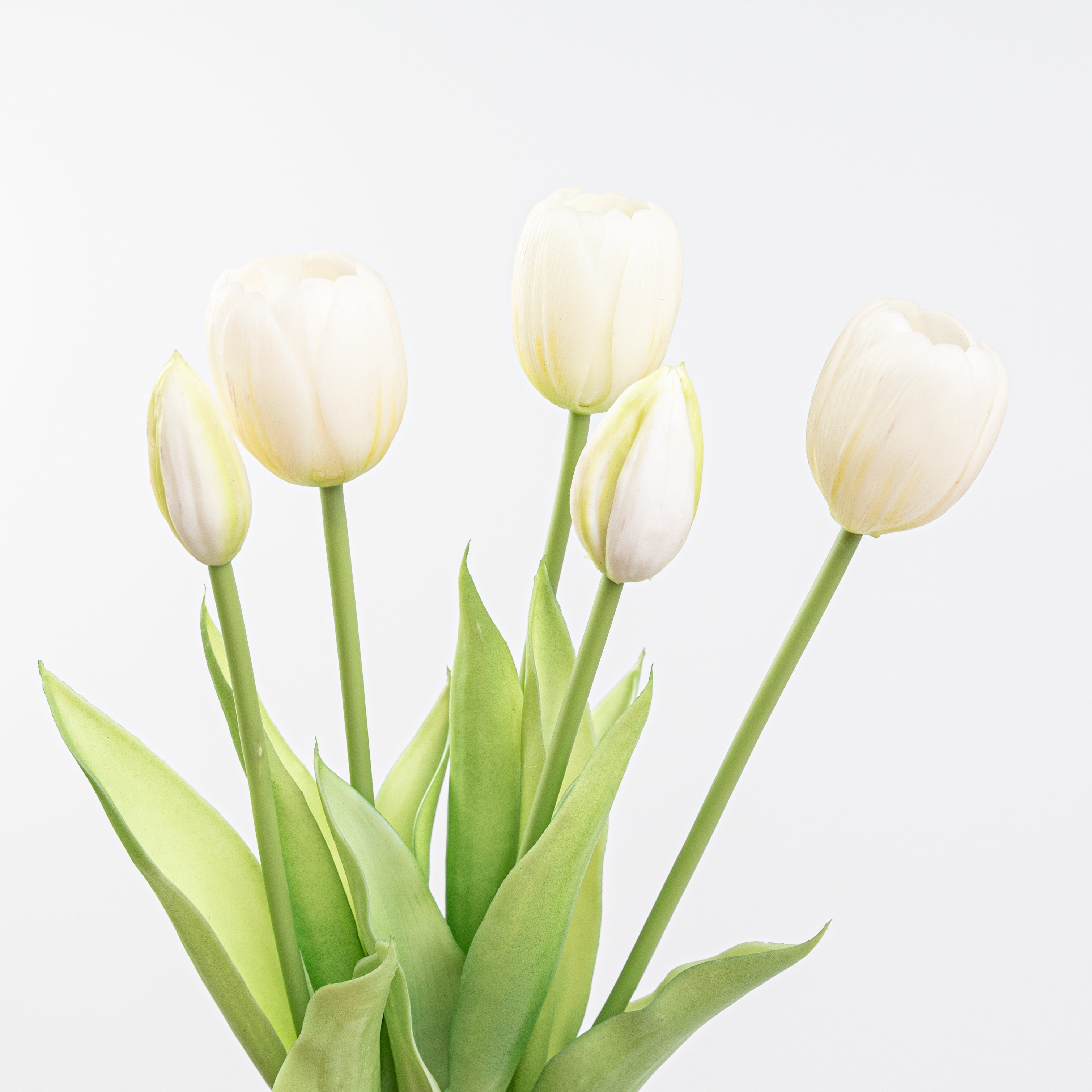 15" SOFT TOUCH TULIP BUNDLE X 5