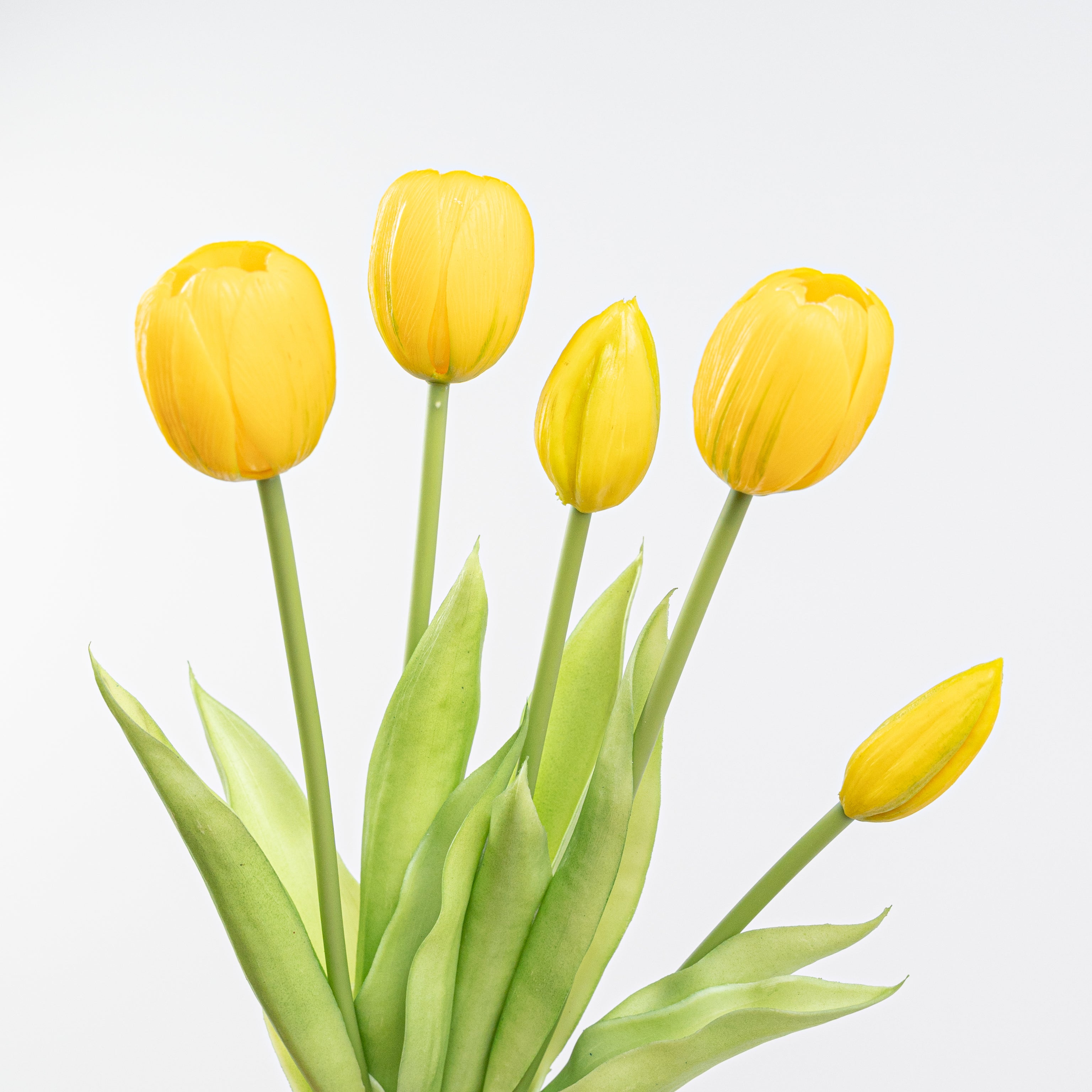 15" SOFT TOUCH TULIP BUNDLE X 5