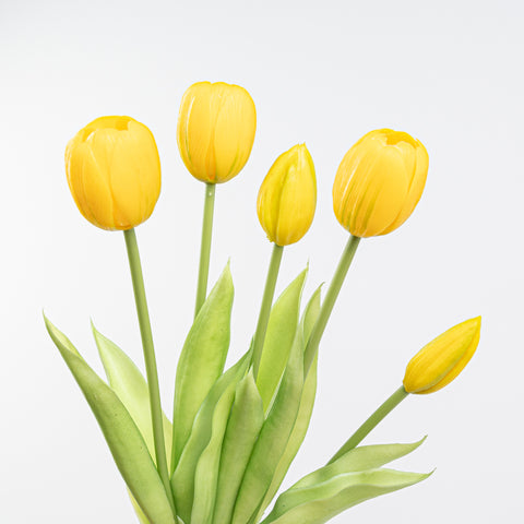 15" SOFT TOUCH TULIP BUNDLE X 5