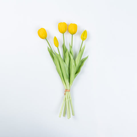 15" SOFT TOUCH TULIP BUNDLE X 5