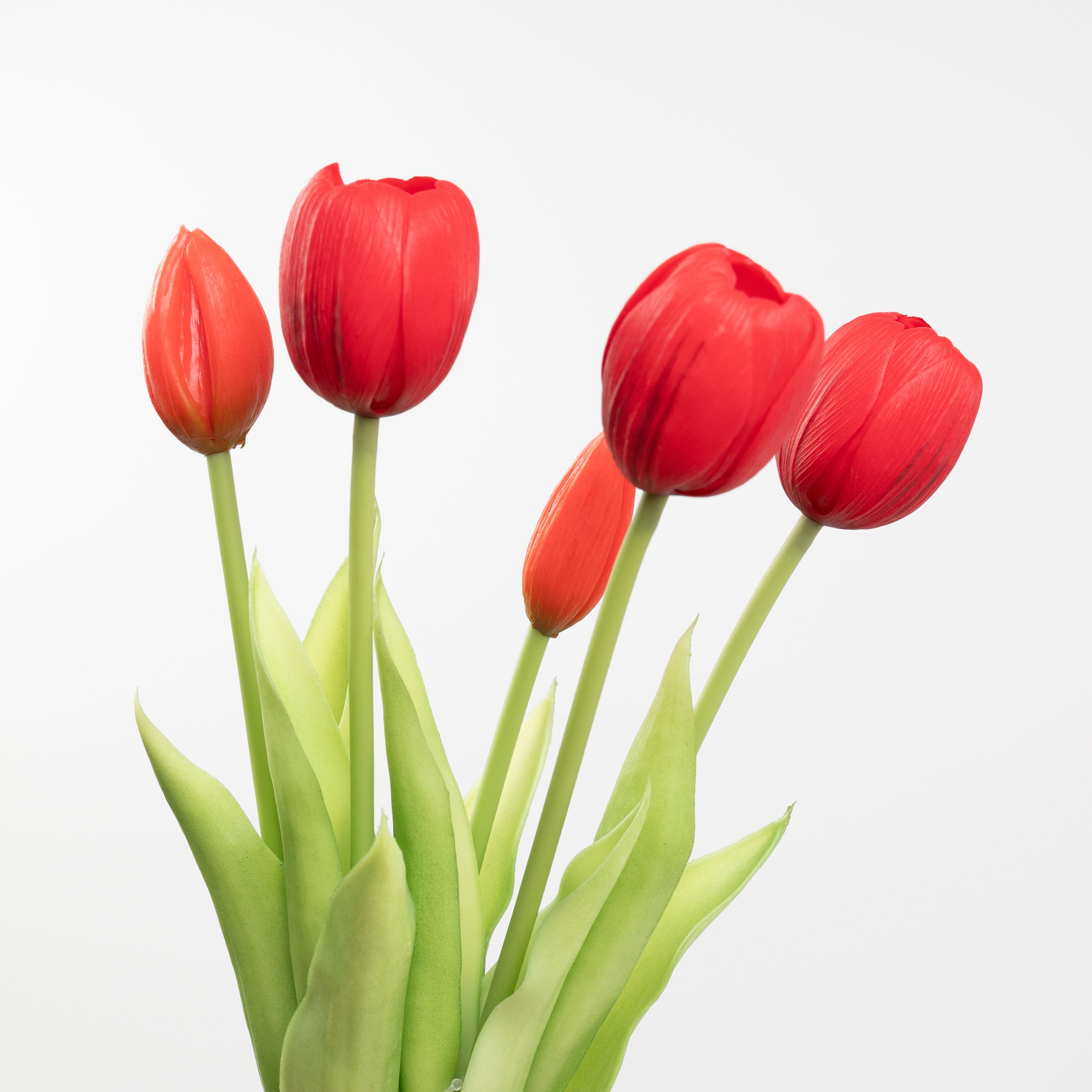 15" SOFT TOUCH TULIP BUNDLE X 5